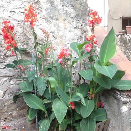 Apartamento La Terrasse Du Mole Sète Exterior foto